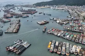 航拍｜“海高斯”来袭，阳江海陵岛千帆已归等风来图片