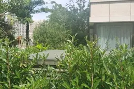 小区地下车库每天传来口哨般啸叫声：天越热越响，怎么回事？图片