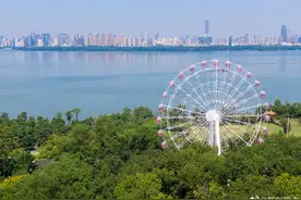 武汉樱花粉摩天轮一圈13分14秒，你想跟谁去打卡？图片