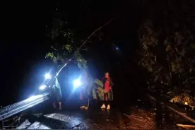 发生泥石流塌方后，他们主动搬运泥石畅通道路图片