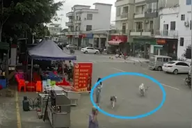 广东佛山老人被狗绳拽倒身亡！涉事女孩逃离现场！专家：女孩不构成犯罪但有民事责任图片