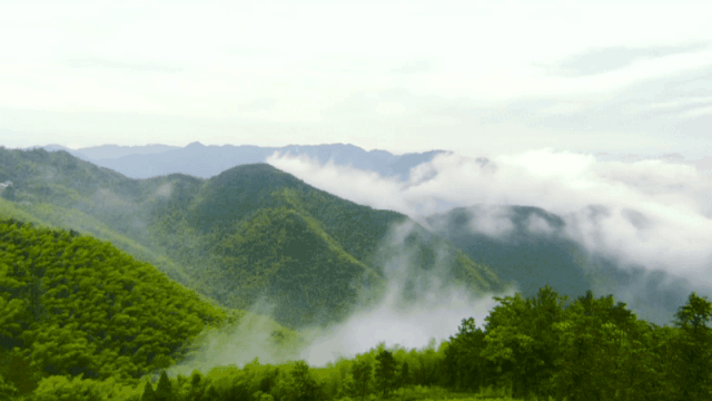 146年老字号用灵芝做眼霜，淡纹抗衰消肿，“修仙党”熬夜必备丨种草机
