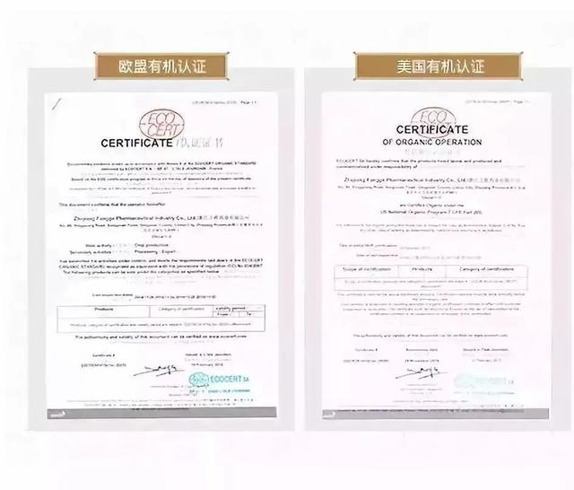 146年老字号用灵芝做眼霜，淡纹抗衰消肿，“修仙党”熬夜必备丨种草机