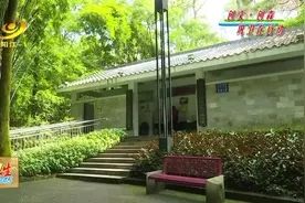 阳江市区8座公园公厕完成升级改造图片