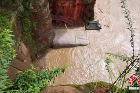 直击四川乐山洪水现场：城区内涝严重 乐山大佛“脚趾”被淹图片