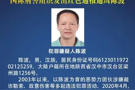 看到他请报警！国际刑警组织红色通报通缉汉中籍男子图片