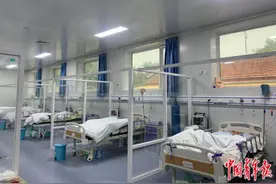 生命的延长线图片