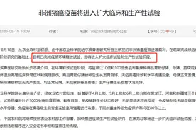 非洲猪瘟疫苗新进展！即将进入生产性试验 这些公司或躺赢图片