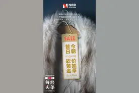 奢侈品之皮草调查丨昔日“软黄金”，如今价如“草”图片