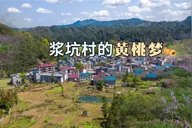 插上直播翅膀的扶贫黄桃视频封面