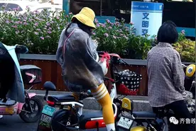 济南一公鸡每天坐儿童座椅陪主人上班！网友：路过饭店的时候慌不慌…图片