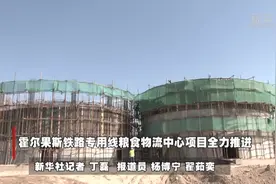 霍尔果斯铁路专用线粮食物流中心项目全力推进视频封面