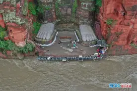 水退了！乐山大佛脚趾露出来啦、43条公交线路恢复……图片