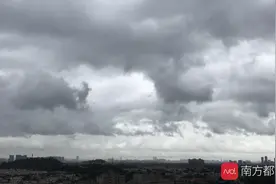 多图直击台风影响下的佛山：绿化树倒了、帐篷吹翻了图片