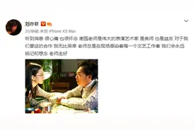 刘亦菲发文悼念谢园，两人曾在电影中演父女图片