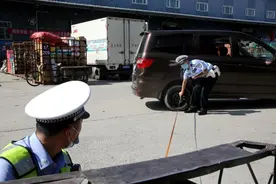 正直如树 温暖如光——记哈尔滨市公安局交警支队道外大队事故科苏树光图片