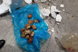 地铁站厅内突现白雾还“跑”出来几只螃蟹，警方提醒：带干冰应注意存放方式图片