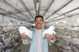 双扶双富”激发乡村振兴源动力，文祖街道乡村治理新突破图片