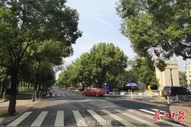 汉口江滩可以开车入园了图片