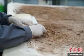 唐代女子以胖为美？杨贵妃：不是，我没有，别瞎说图片