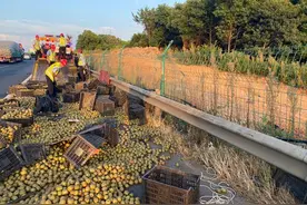爆胎！一车猕猴桃滚满高速路，高温行车要多检查图片