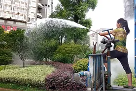 保供水还是保绿化？城区自来水灌溉绿化带引争议图片