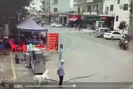 老人被狗绳绊倒后身亡，12岁遛狗女孩引热议，到底该谁来承担责任？图片