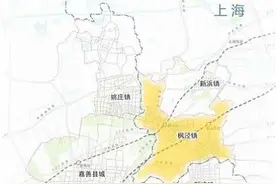2035年的枫泾是这样的图片