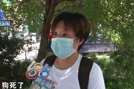 土狗绝育过程中死亡，宠物医院负责人被撤职……图片