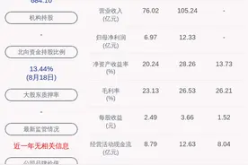 好消息！深南电路：2020年半年度净利润约7.24亿元，同比增加53.77%图片