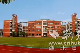 武汉市洪山实验外国语学校：盛开在“基础教育百花园”中的魅力“郁金香”图片