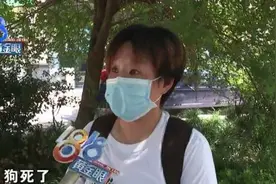 土狗绝育过程中死亡，宠物医院负责人被撤职……图片