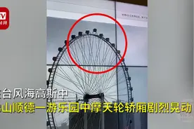 魔力转圈？佛山摩天轮轿厢台风中360度自转，园方：属正常现象图片