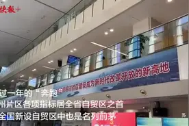 多项指标全国领先，打造自贸区“苏州样板”！一年推出改革创新举措130余项图片