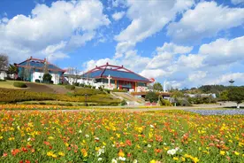 华侨城礼邀白衣天使 全国32家景区免费畅游图片