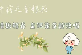 清热解毒 金银花茶趁热喝视频封面