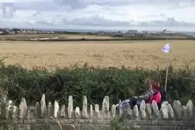 英国一工程师将游乐场碰碰车改造成能上路的电动车图片
