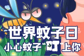 世界蚊子日，小心蚊子“叮”上你！