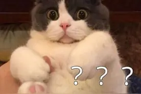 女儿被老师剪了一小撮头发，妈妈大怒：败了一家人的运气图片