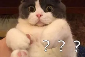 女儿被老师剪了一小撮头发，妈妈竟大怒：败了一家人的运气图片