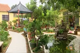 41秒丨济宁邹城：美丽庭院建设提升乡村“颜值”图片