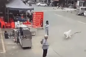 不追责！被狗绳绊倒身亡老人家属最新回应，律师解读→图片