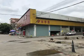 那个“逃离”现场的“牵狗女孩”图片