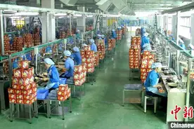 外资外企看珠海：税收利好叠加促企业跨越式发展图片