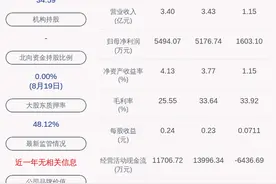 川大智胜：2020年半年度净利润约1603万元，同比增加45.94%图片