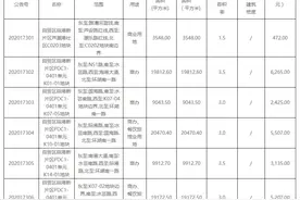 临港新片区一日集中挂牌8宗地块，出让面积28.8万平方米图片