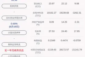由盈转亏！天喻信息：2020年半年度净利润约-3262万元，同比下降134.90%图片