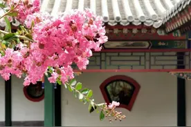 今夏到丰台，看亭台楼阁，赏各色繁花图片