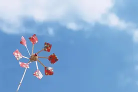 懒人听书|你有一份夏日书单待接收~图片