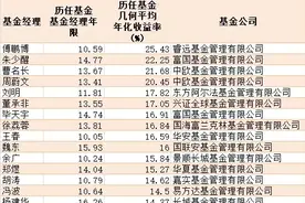 相亲要求理财组合年化10%以上？说真的太难了！全市场能满足要求的只有这些基金经理图片
